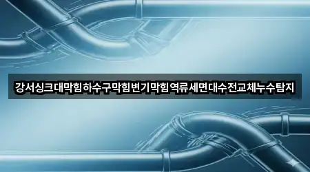 강서싱크대막힘하수구막힘변기막힘역류세면대수전교체누수탐지