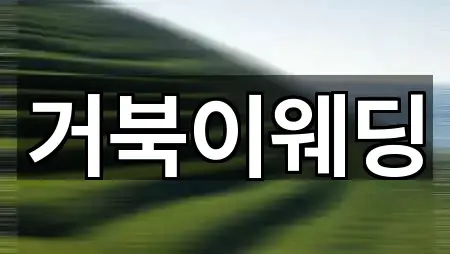 서울 종로구 홍지동 웨딩드레스 1곳 한 번에 정리