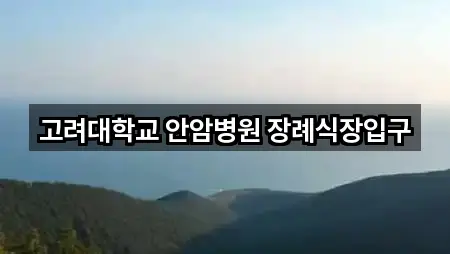 서울특별시 성북구 안암동5가 예식장 5곳 지도 카탈로그