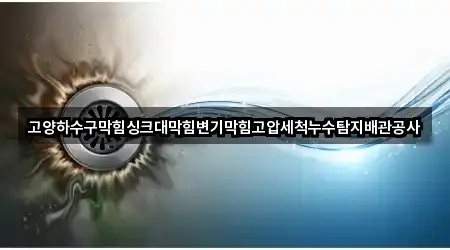 고양하수구막힘싱크대막힘변기막힘고압세척누수탐지배관공사