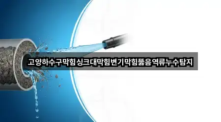 고양시 행신동 변기막힘 2곳 즉시 보기