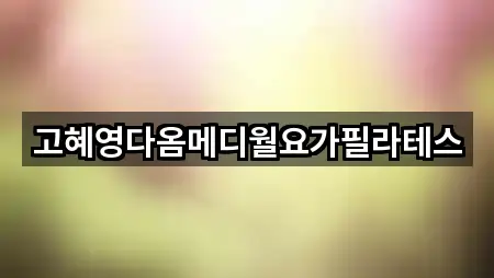 고혜영다옴메디월요가필라테스