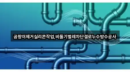 곰팡이제거실리콘작업,비둘기벌레차단결로누수방수공사