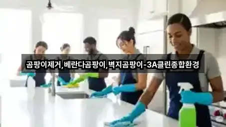 곰팡이제거,베란다곰팡이,벽지곰팡이-3A클린종합환경