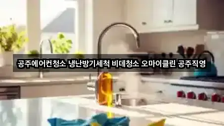 공주에어컨청소 냉난방기세척 비데청소 오마이클린 공주직영