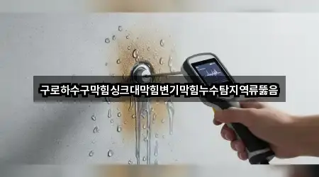 구로하수구막힘싱크대막힘변기막힘누수탐지역류뚫음