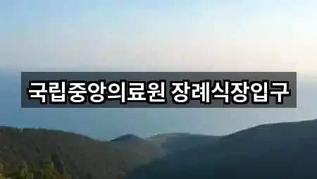 국립중앙의료원 장례식장입구