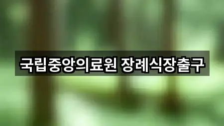 국립중앙의료원 장례식장출구