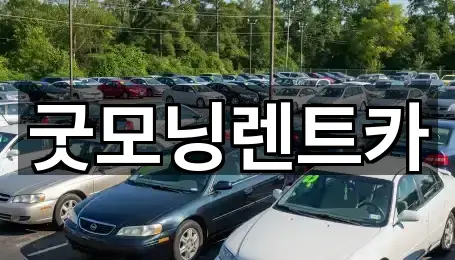 굿모닝렌트카