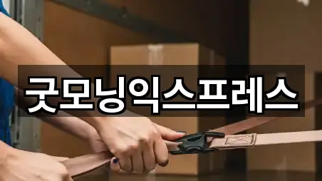 굿모닝익스프레스