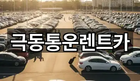 바로 비교: 경북 옥동 렌트카 5곳