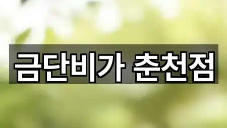 금단비가 춘천점