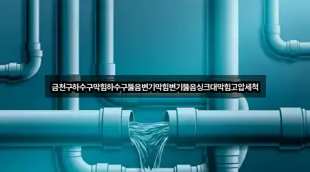 금천구하수구막힘하수구뚫음변기막힘변기뚫음싱크대막힘고압세척