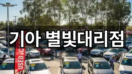 경상북도 영천시 조교동 자동차전시장 1곳 | 위치 리스트