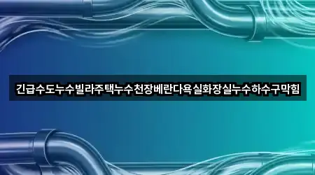 긴급수도누수빌라주택누수천장베란다욕실화장실누수하수구막힘