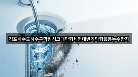 김포하수도하수구막힘싱크대막힘세면대변기막힘뚫음누수탐지