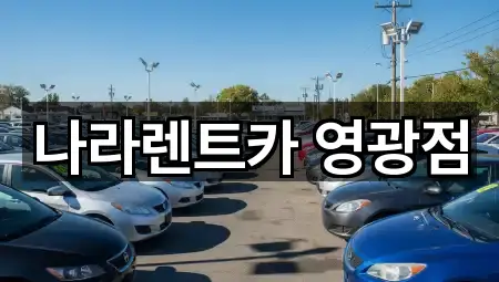 영광군 군서면 렌트카 4곳 한 번에 정리