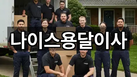 나이스용달이사