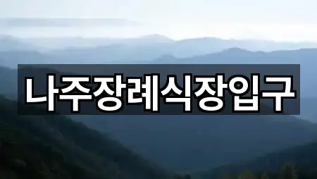 나주장례식장입구