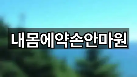 내몸에약손안마원