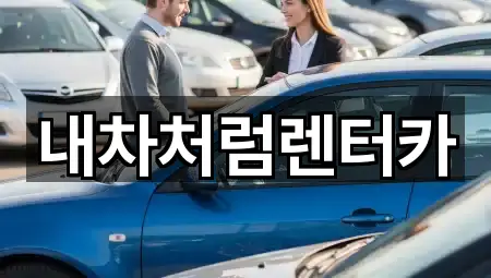 빠른 길찾기: 대구 연호동렌트카 5곳