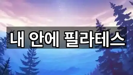 내 안에 필라테스