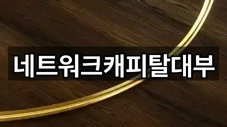 네트워크캐피탈대부