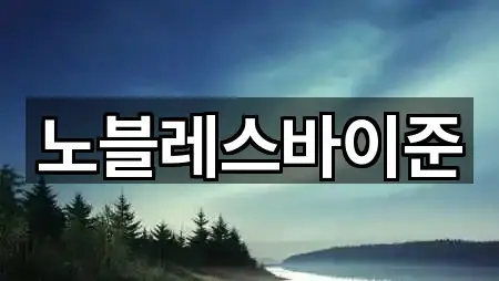 노블레스바이준