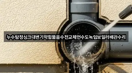 누수탐정싱크대변기막힘뚫음수전교체언수도녹임보일러배관수리