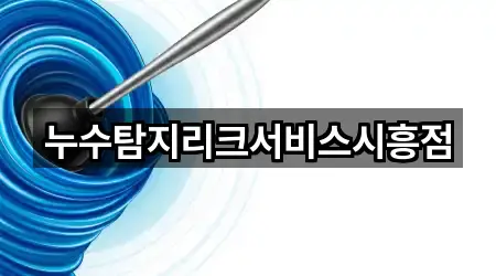 누수탐지리크서비스시흥점