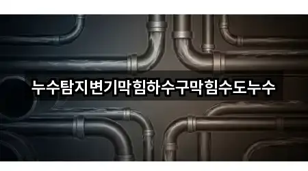 누수탐지변기막힘하수구막힘수도누수