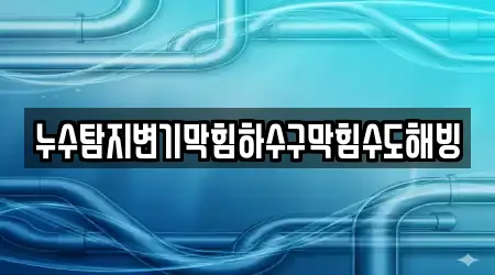 누수탐지변기막힘하수구막힘수도해빙