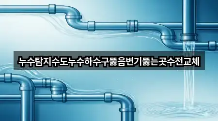 누수탐지수도누수하수구뚫음변기뚫는곳수전교체
