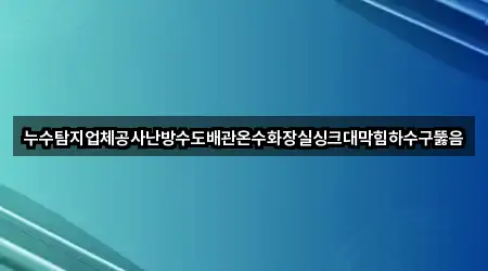 누수탐지업체공사난방수도배관온수화장실싱크대막힘하수구뚫음