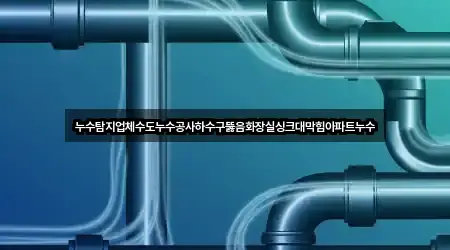 누수탐지업체수도누수공사하수구뚫음화장실싱크대막힘아파트누수