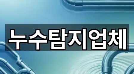 누수탐지업체