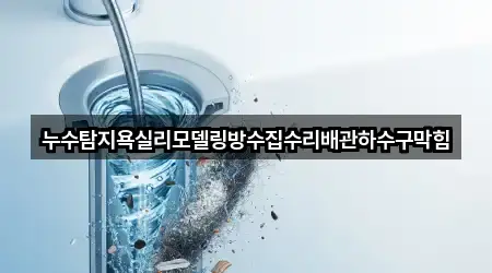누수탐지욕실리모델링방수집수리배관하수구막힘