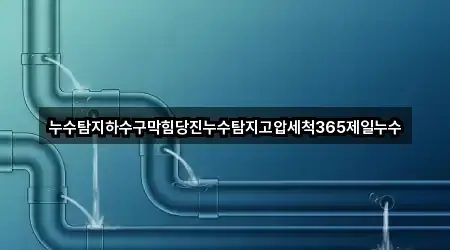 누수탐지하수구막힘당진누수탐지고압세척365제일누수