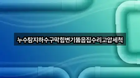누수탐지하수구막힘변기뚫음집수리고압세척