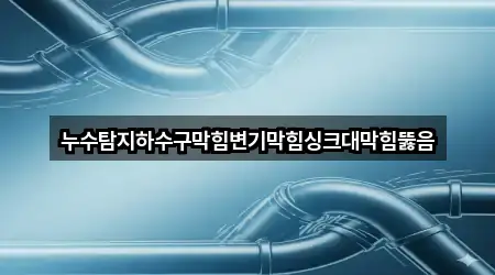 누수탐지하수구막힘변기막힘싱크대막힘뚫음