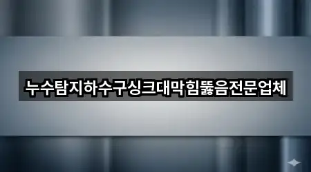 누수탐지하수구싱크대막힘뚫음전문업체