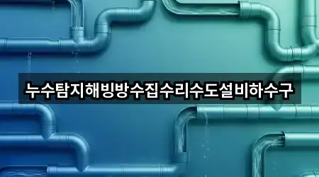 누수탐지해빙방수집수리수도설비하수구