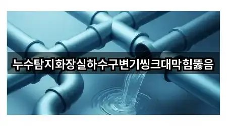 누수탐지화장실하수구변기씽크대막힘뚫음