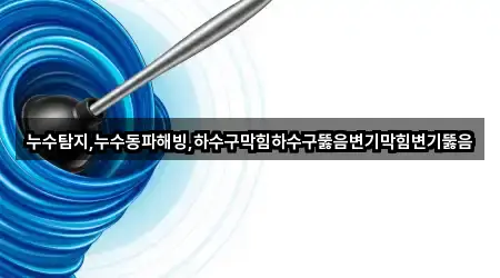 누수탐지,누수동파해빙,하수구막힘하수구뚫음변기막힘변기뚫음