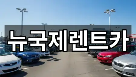 뉴국제렌트카