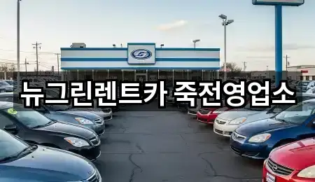 뉴그린렌트카 죽전영업소