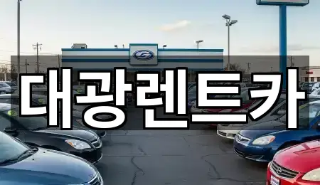 5곳 광주 북구 신안동 장기렌트카 리스트