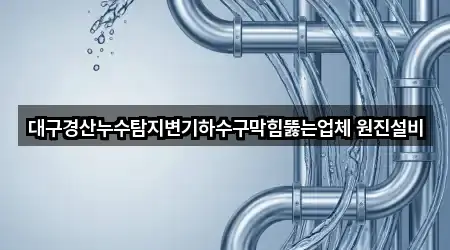 대구경산누수탐지변기하수구막힘뚫는업체 원진설비