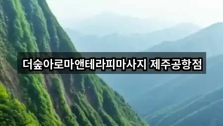 더숲아로마앤테라피마사지 제주공항점