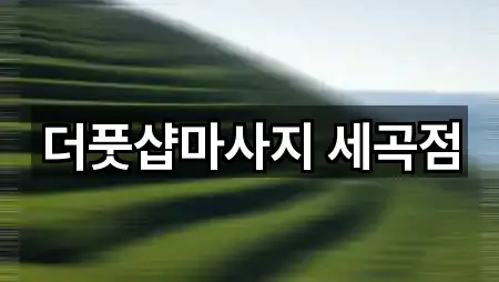 서울특별시 강남구 자곡동 에스테틱 가격/비용 가이드 5곳